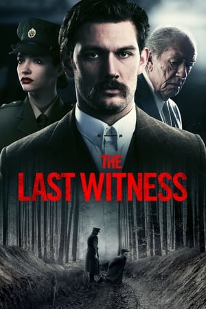Watch Free The Last Witness (2014)