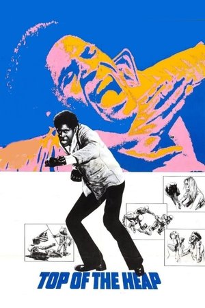 Watch Free Top of the Heap (1972)