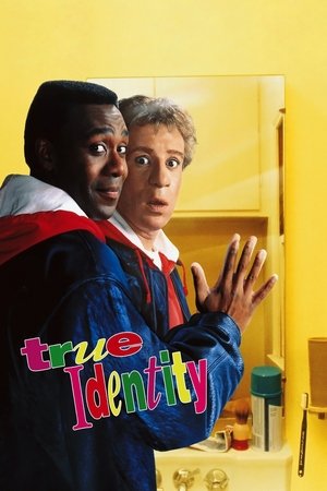 Watch Free True Identity (1991)