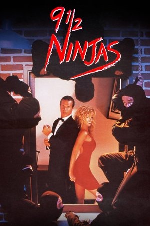 Watch Free 9 12 Ninjas (1991)