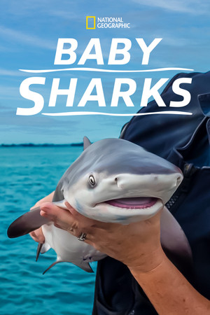 Watch Free Baby Sharks (2022)
