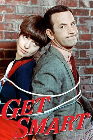 Watch Free Get Smart