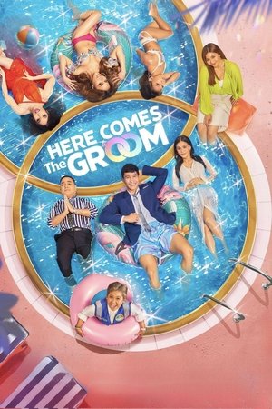 Watch Free Here Comes the Groom (2023)