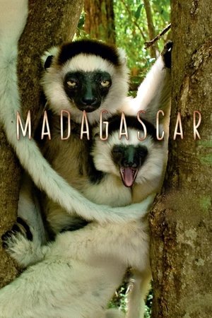 Watch Free Madagascar (2011 )