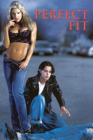 Watch Free Perfect Fit (2001)