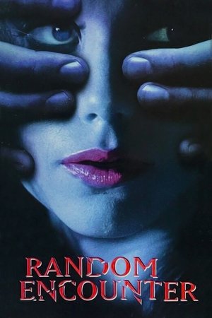 Watch Free Random Encounter (1998)