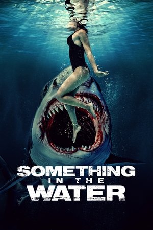 Watch Free Something in the Water (2024)