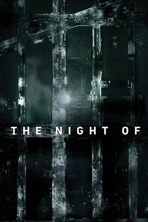 Watch Free The Night Of (TV Series 2016)
