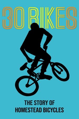 Watch Free 30 Bikes The Story of Homestead Bicycles (2020)
