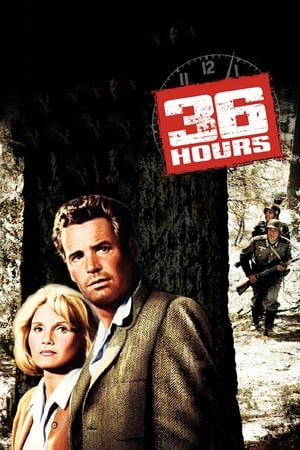 Watch Free 36 Hours (1964)