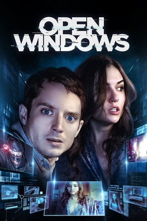 Watch Free Open Windows (2014)