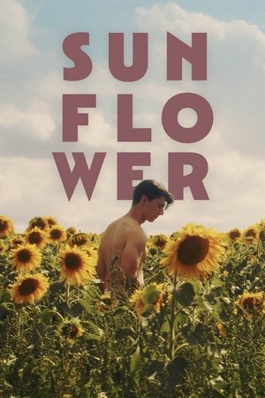 Watch Free Sunflower (2023)