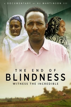 Watch Free The End of Blindness (2021)