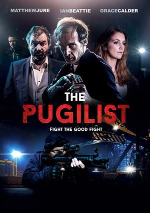 Watch Free Fight the Good Fight (2017)