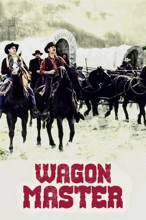 Watch Free Wagon Master (1950)