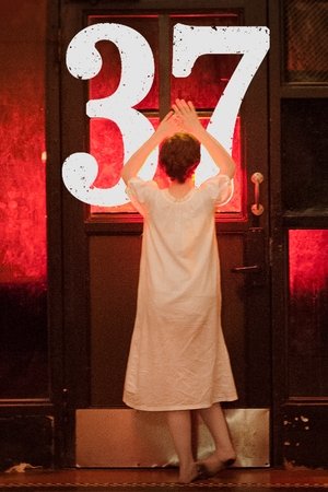 Watch Free 37 (2016)
