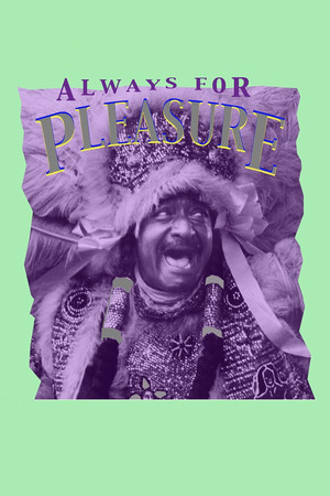 Watch Free Always for Pleasure (1978)