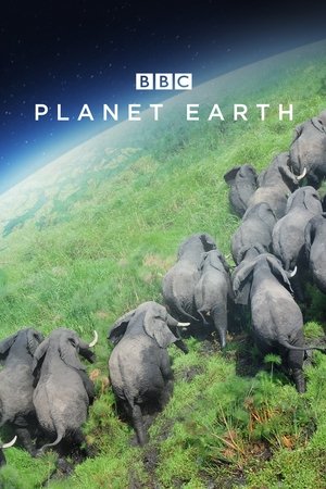 Watch Free Planet Earth (2006)