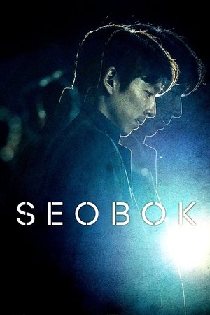 Watch Free Seobok (2021)