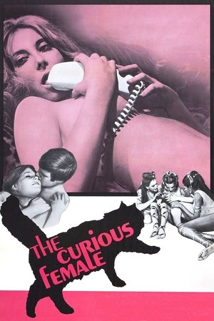 Watch Free The Curious Female (1970)