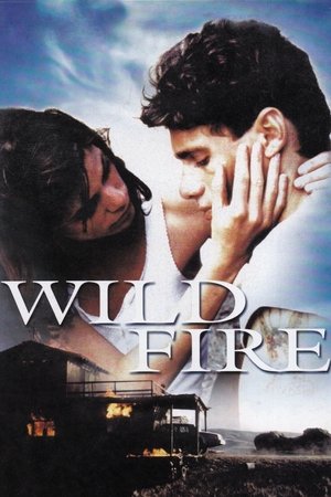 Watch Free Wildfire (1988)