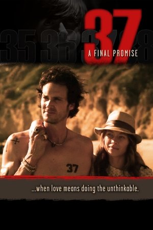 Watch Free 37 (2014)