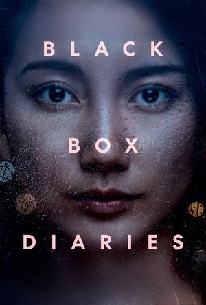 Watch Free Black Box Diaries (2024)