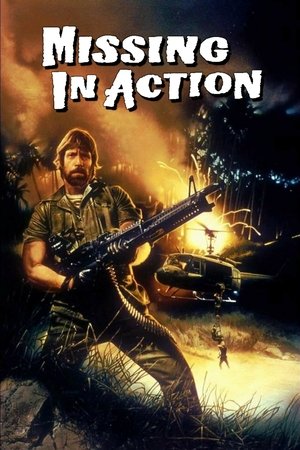 Watch Free Missing in Action (1984)