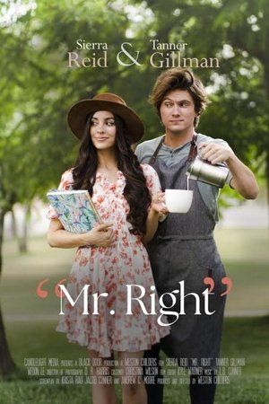 Watch Full Movie: Mr Right (2023)