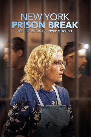 Watch Free New York Prison Break the Seduction of Joyce Mitchell (2017)