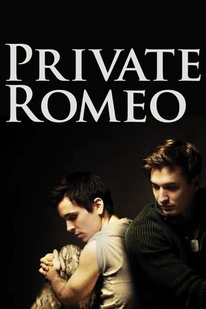 Watch Free Private Romeo (2011)