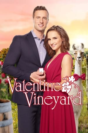 Watch Free Valentine in the Vineyard (2019)