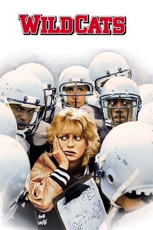 Watch Free Wildcats (1986)