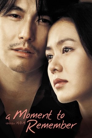 Watch Free A Moment to Remember (2004)