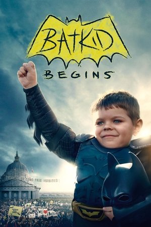 Watch Free Batkid Begins (2015)