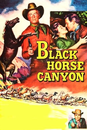 Watch Free Black Horse Canyon (1954)