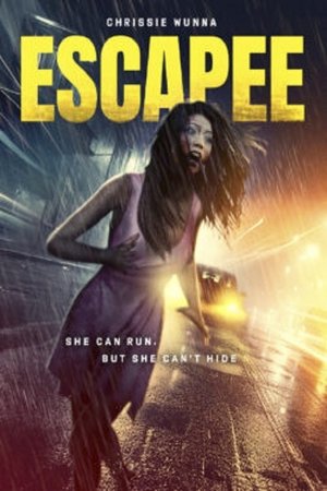 Watch Free The Escapee (2023)