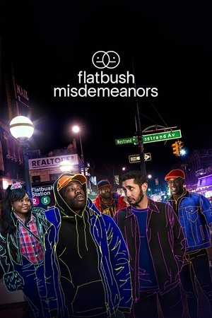 Watch Free Flatbush Misdemeanors (2021 )