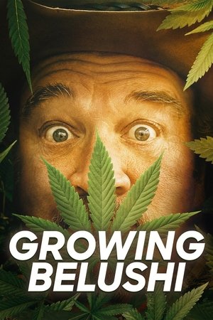 Watch Free Growing Belushi (2020-)