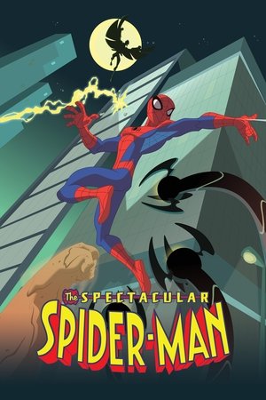 Watch Free The Spectacular SpiderMan (20082009)