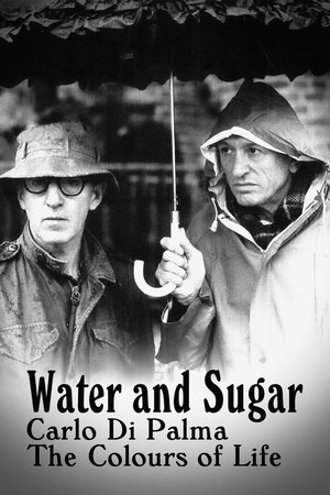 Watch Free Water and Sugar Carlo Di Palma, the Colours of Life (2016)