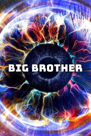 Watch Free Big Brother (2000-)