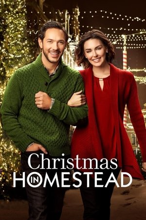 Watch Free Christmas in Homestead (2016)