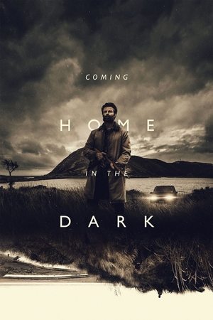 Watch Free Coming Home in the Dark (2021)
