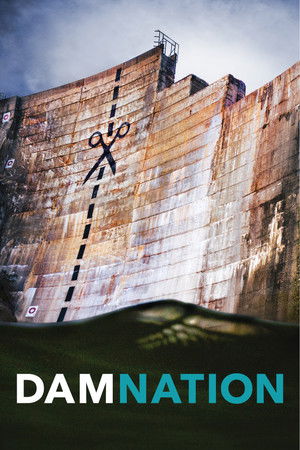 Watch Free DamNation (2014)
