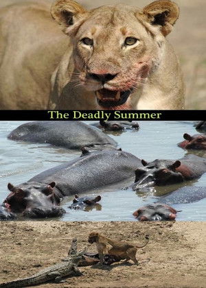 Watch Free Deadly Summer (2006)