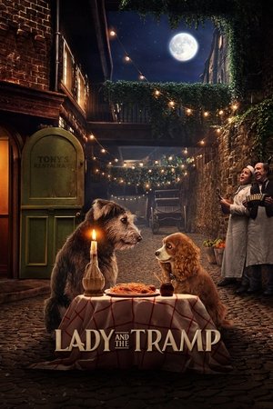 Watch Free Lady and the Tramp (2019)