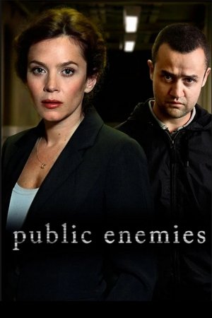 Watch Free Public Enemies (2012)