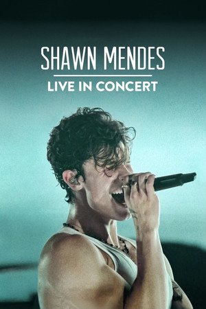 Watch Free Shawn Mendes Live in Concert (2020)
