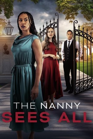 Watch Free The Nanny Sees All (2025)
